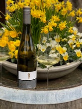 Laden Sie das Bild in den Galerie-Viewer, 2023 Silvaner trocken